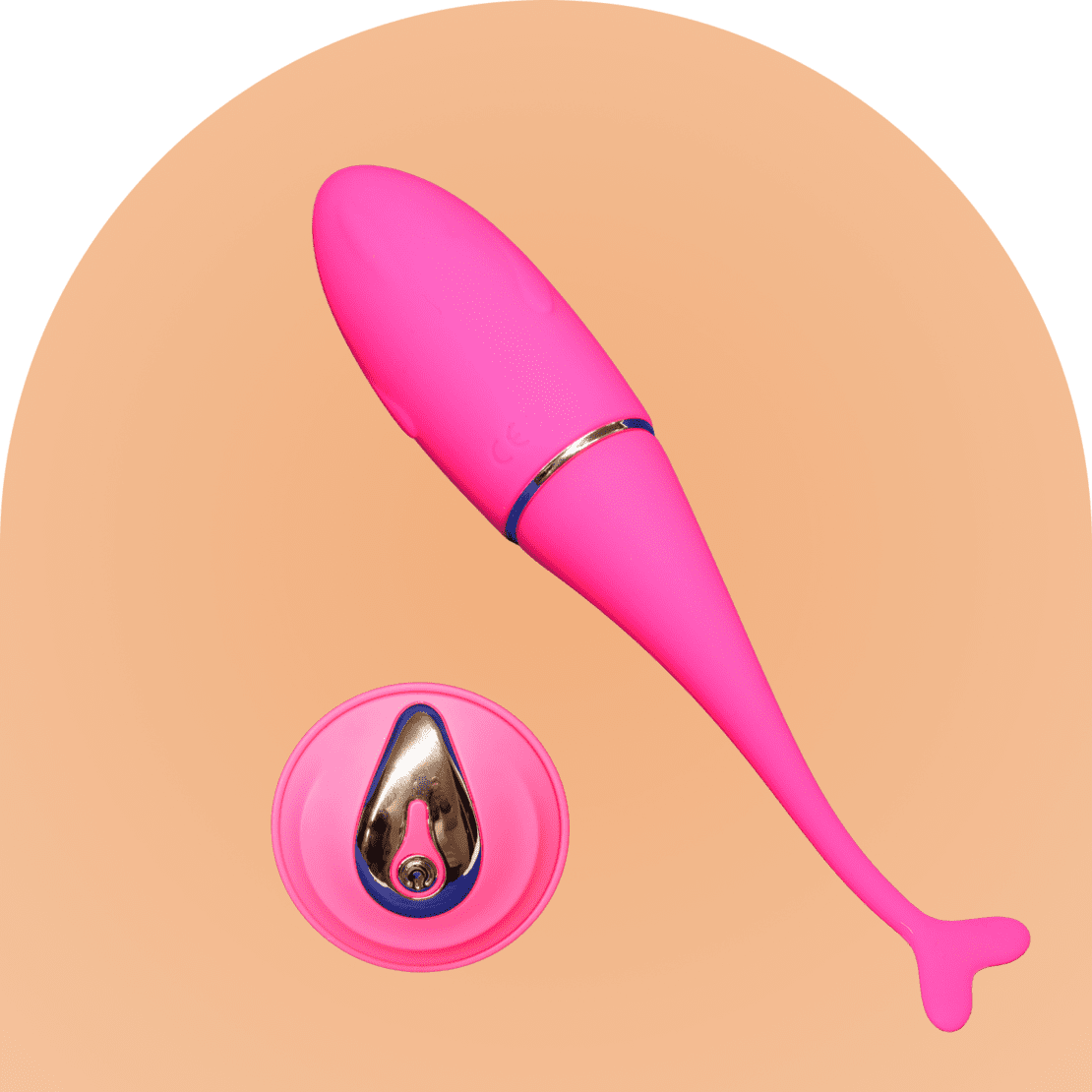 Wireless fish shaped vibrator with remote 